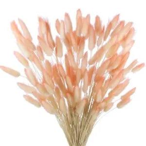 120 Pcs Natural Bunny Tails Dried Flowers Rabbit Tail Grass Lagurus Ovatus