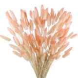 120 Pcs Natural Bunny Tails Dried Flowers Rabbit Tail Grass Lagurus Ovatus