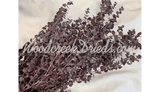 PRESERVED DYED PURPLE EUCALYPTUS FLORAL FOLIAGE FILLER FLOWER SCENTED