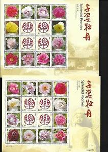 China Splendid Peonies 16V Special Full S/S Flower ????  ?????