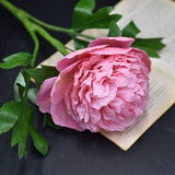 Peony cold porcelain Real touch flowers Artificial peony for Gift or home decor Polymer clay peony Peony bouquet Spring flowers