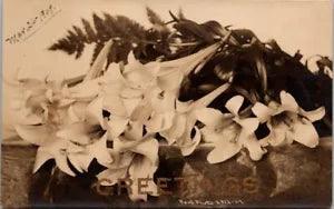 RPPC Greetings Postcard Easter Lily Floral Bouquet Wisconsin WI dated 1909  T562