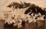 RPPC Greetings Postcard Easter Lily Floral Bouquet Wisconsin WI dated 1909  T562