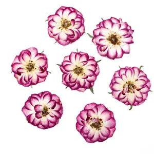 10pcs/bag Real Natural Dried Pressed Flowers DIY Art Crafts Epoxy Resin...