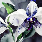Indigo Orchid Fine Art Print, Watercolour Abstract Flower Wall Art, Bright Deep Blue Floral Painting, White Decor, UK artist
