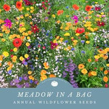 Meadow in a bag mix: Sheep Fescue, Annual Baby??s Breath, Black-Eyed Susan, Catchfly, Cornflower, Corn Poppy, Dwarf Evening Primrose, Foxglov