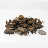 Fine Virgin Cork Bits 8oz - for Orchids, Airplants, Reptiles, Tarantula, and Terrariums