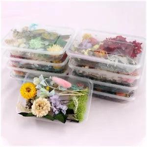 Mixed Pressed Dried Flowers For DIY Art Craft Resin Pendant Jewellery Making