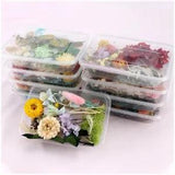 Mixed Pressed Dried Flowers For DIY Art Craft Resin Pendant Jewellery Making