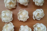 100 Peony W/Pollen Diffuser Flowers Dia.5CM Sola Wood Home Decor Crafts DIY Gift