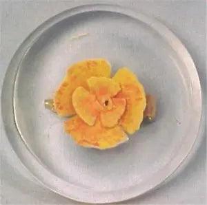 Vintage Lucite Pin Peach Carnation Flower Large Brooch Retro 1950s Nice