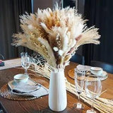 Total 150 pcs /6 Various Dried Pampas Grass D???cor, White 150 pcs lucury white