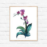 Orchid Painting