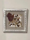 Vtg Rustic White Wood Framed Pressed Dried Geum Flower Leaves Grass Signed 10x10