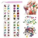 Mixed Dried Flowers DIY Specimen Plant Aromatherapy Candle Resin Making Craft US