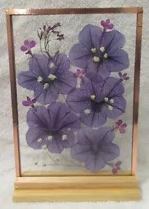 Dried Pressed Purple Petunias in Floating Glass Frame: 5" x 7"