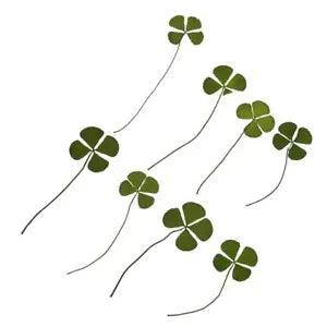 12pcs Pressed/Dried Leaves Flower Scrapbooking Art Craft
