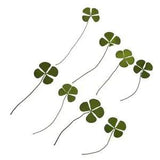 Pack of 1 Pressed Leaves Flower Making Arranging DIY