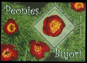 2011 Peony,Pivoine,Paeonia peregrina,Pfingstrose,Flowers,Romania,Bl.497,MNH