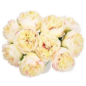 Artificial Flower Heads, Silk Peony Hydrangea Champagne Color Faux Flowers 10Pcs