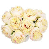 Artificial Flower Heads, Silk Peony Hydrangea Champagne Color Faux Flowers 10Pcs