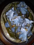Hume's Ozark Orginal Real Dried Flowers Iris Sculpture Porcelin Wall Hanging