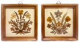 2 Vintage Framed Dried Pressed Flowers Wall Art Miniatures Germany