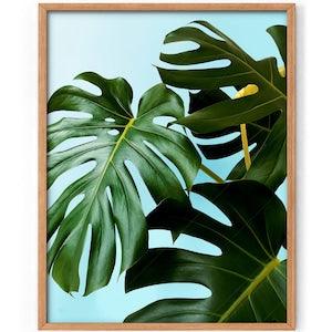 Green wall art Plant photo Monstera leaf Tropical palm leaf Bedroom wall decor Dine room Palm leaves Succulent Green abstract Botanical art