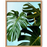 Green wall art Plant photo Monstera leaf Tropical palm leaf Bedroom wall decor Dine room Palm leaves Succulent Green abstract Botanical art