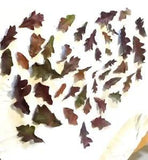 45 Red Oak Leaves Dried Naturally Assorted Sizes & Shapes