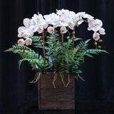 Modern Orchid Arrangement. Real touch orchid arrangement