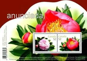 Canada #2 2008, Flora, Peonies Flower, 2 stamps 52c