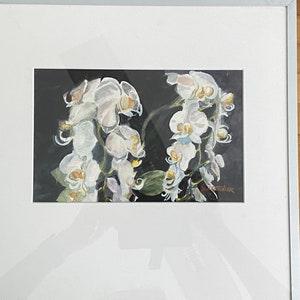 Orchids Houseplant