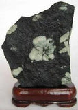 NEW LISTINGUnique PEONY STONE-BONSAI SUISEKI-Green Peony Blossom