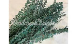 PRESERVED DYED FROSTED GREEN EUCALYPTUS FLORAL FOLIAGE FILLER FLOWER SCENTED
