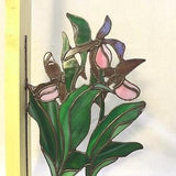 Stained Glass Lady Slipper Orchid