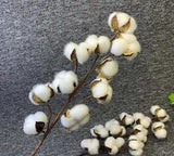 Artificial Dried Cotton Flowers White Flower Branch For Wedding Party Decoration