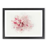 Striking White & Pink Carnation Framed Wall Art Poster Print Picture Large
