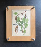 Wooden Flower Press w/Decoupaged Botanical on Top (6-1/2??? X 7-3/4??? X 2???)