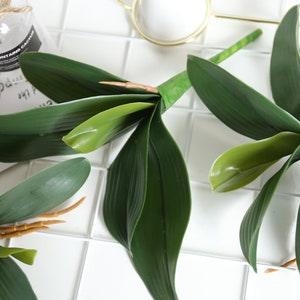 Orchid Leaves, Real Touch Orchid Roots, Silk Flower Decor, Artificial Indoor Greenery, Orchid Decoration, DIY Silk Flower Gift, Fake Foliage