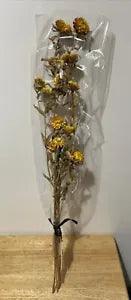 Dried Flower Bouquet Of Safflowers Yellow Warmth 27 1/2in Tall