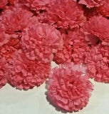 (14 pcs) Pink Carnation 3.5