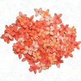 Orange Pressed Flowers Organic DIY floral arts Resin Materials Hand crafts