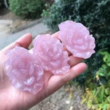 1PC Natural rose pink Quartz Crystal peony flower Carved Reiki Healing random