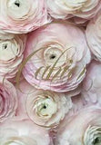 Paris in Bloom Notebook (Ranunculus)
