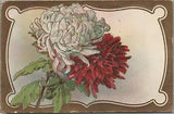 NEW LISTINGEmbossed Red and White Carnations p1910 to Rossmoines