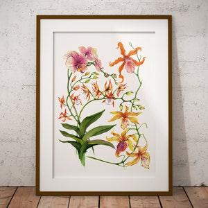 Orchid painting I plant painting I cottage painting I printable art I bathroom wall decor I printable wall art I wall art I watercolor art