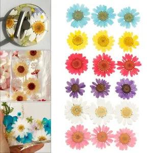 1 Bag Daisy Dried Flower Dry Plants For Aromatherapy Candle Resin Pendant...