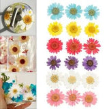 1 Bag Daisy Dried Flower Dry Plants For Aromatherapy Candle Resin Pendant...