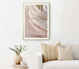 Flower Texture, Soft Sweet Peony Poster Premium Quality Choose your Size